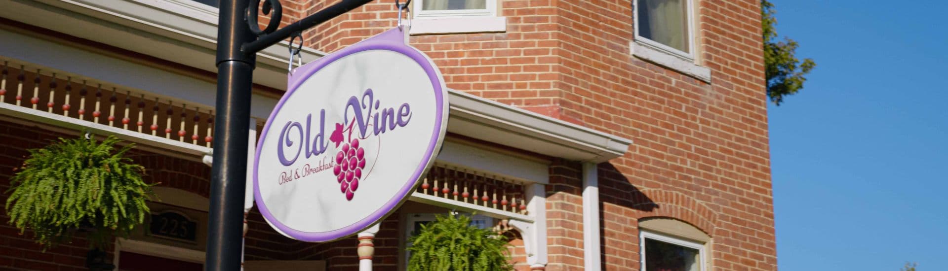 Sign for "Old Vine Bed & Breakfast" hanging near a brick building.